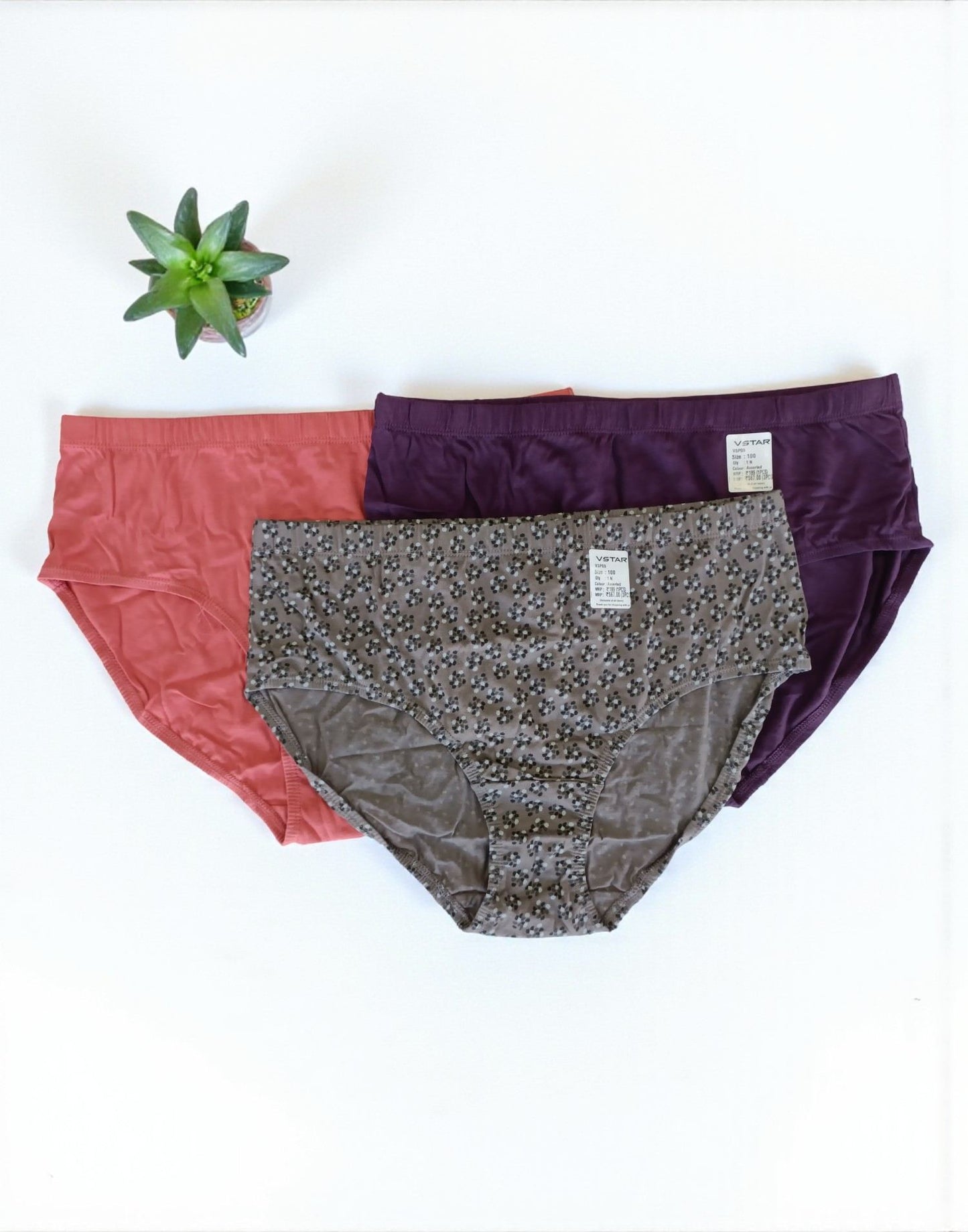 300925PS (E6422-E6423) VSTAR ESSENTIAL PANTIES (3 in 1 COMBO) - Assorted 19