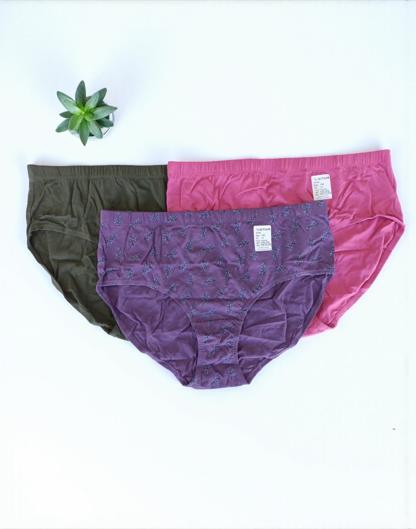 300925PS (E6422-E6423) VSTAR ESSENTIAL PANTIES (3 in 1 COMBO) - Assorted 20