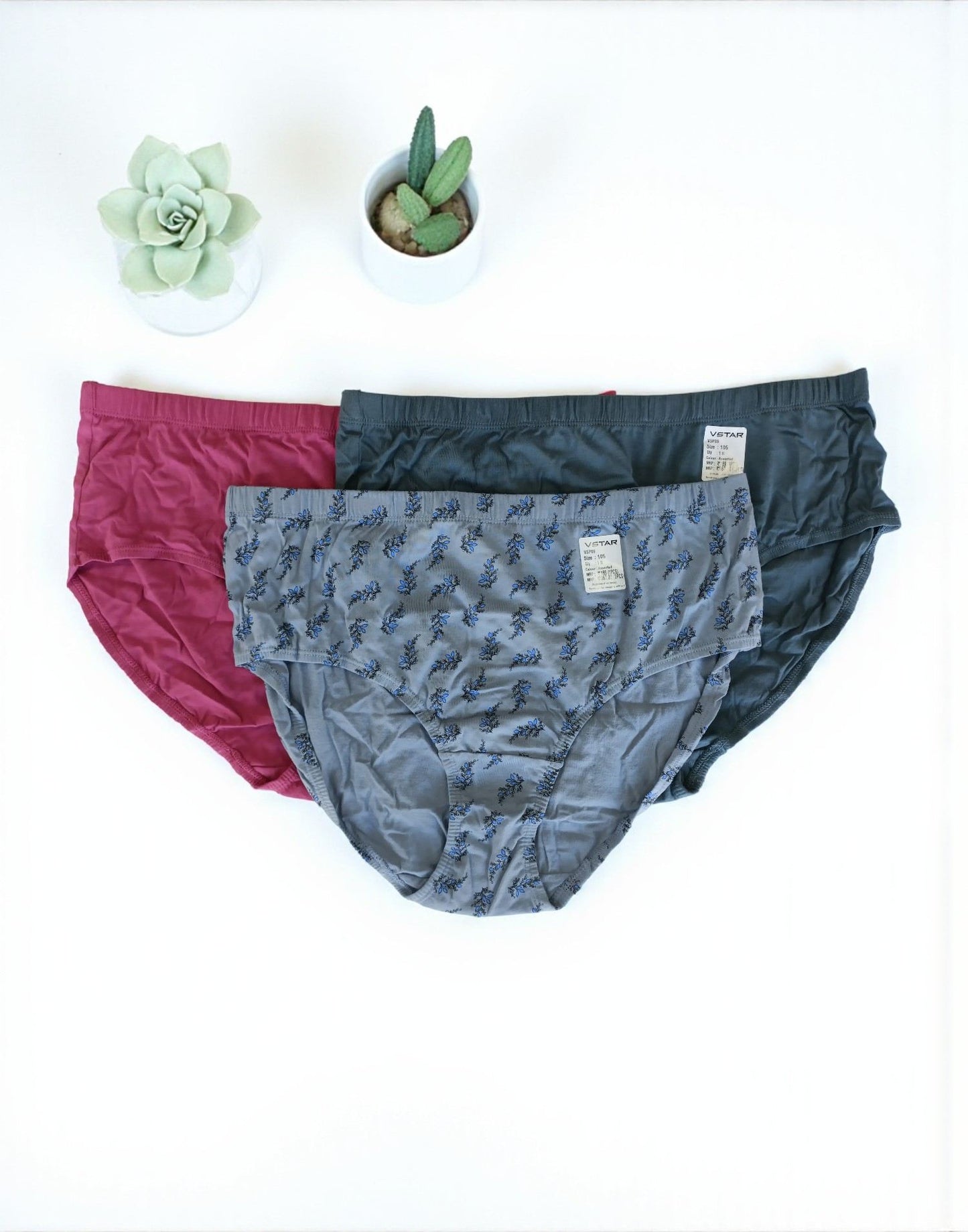 300925PS (E6422-E6423) VSTAR ESSENTIAL PANTIES (3 in 1 COMBO) - Assorted 22