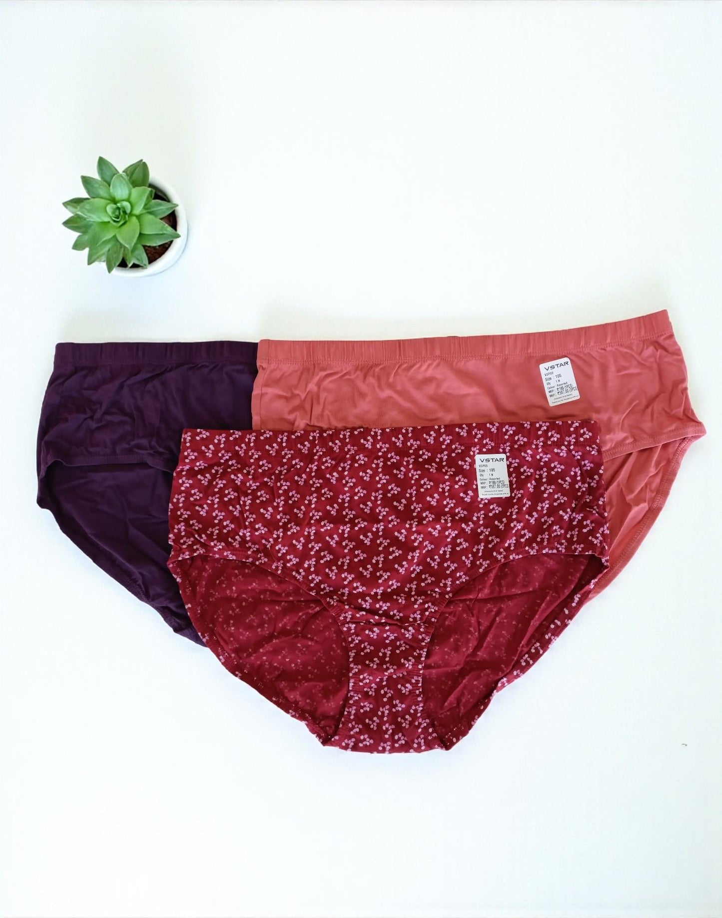 300925PS (E6422-E6423) VSTAR ESSENTIAL PANTIES (3 in 1 COMBO) - Assorted 24