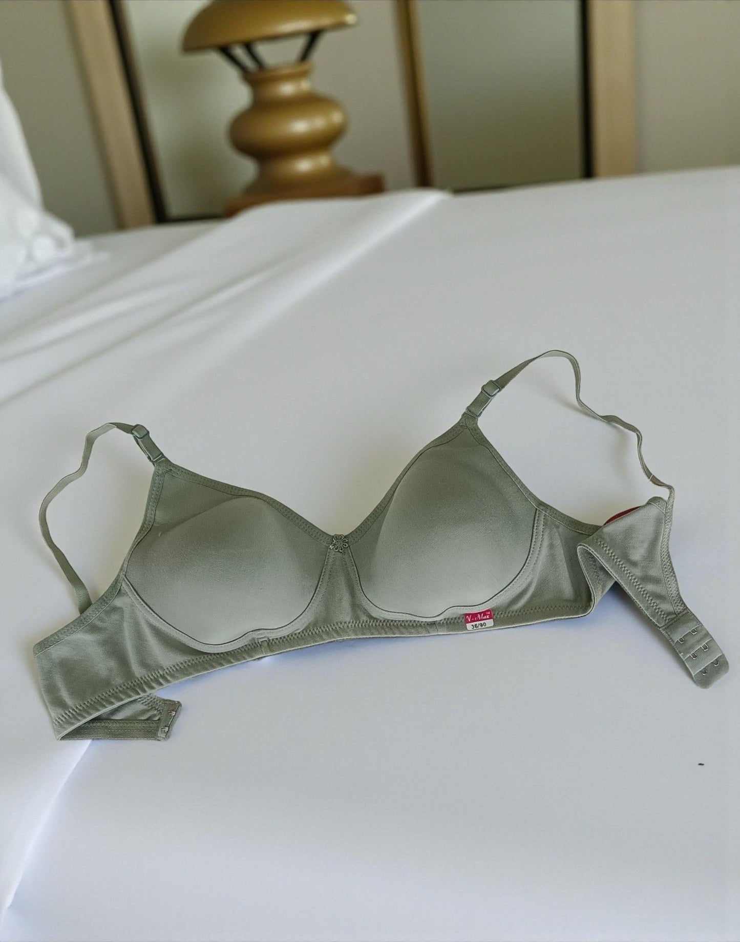 221025BR (E6077 - E6078) V-MAX SEMI PADDED BRA - Pastel Green