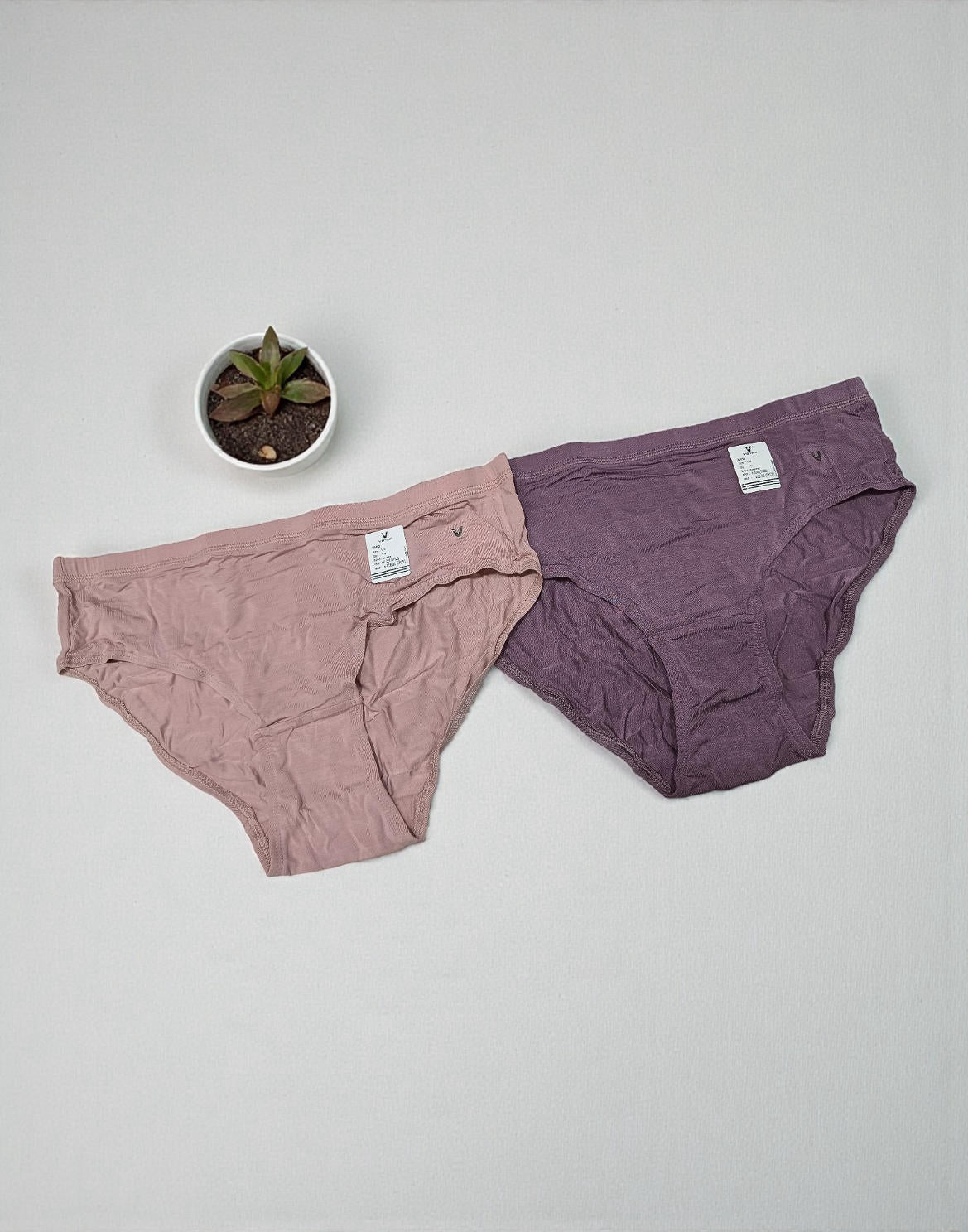 PANTY VSTAR HIPSTER (2 in 1 COMBO) ASSORTED 16 E6419 E6420 130126PS - ELENTRA DESIGNS BY NIMI HEINS