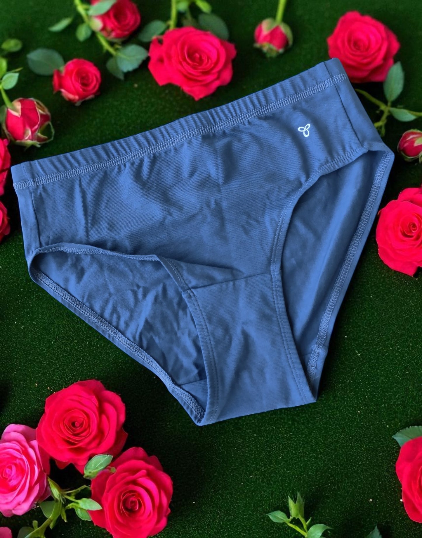 090825PS (E4346) VISMAY COZY PANTIES - Blue