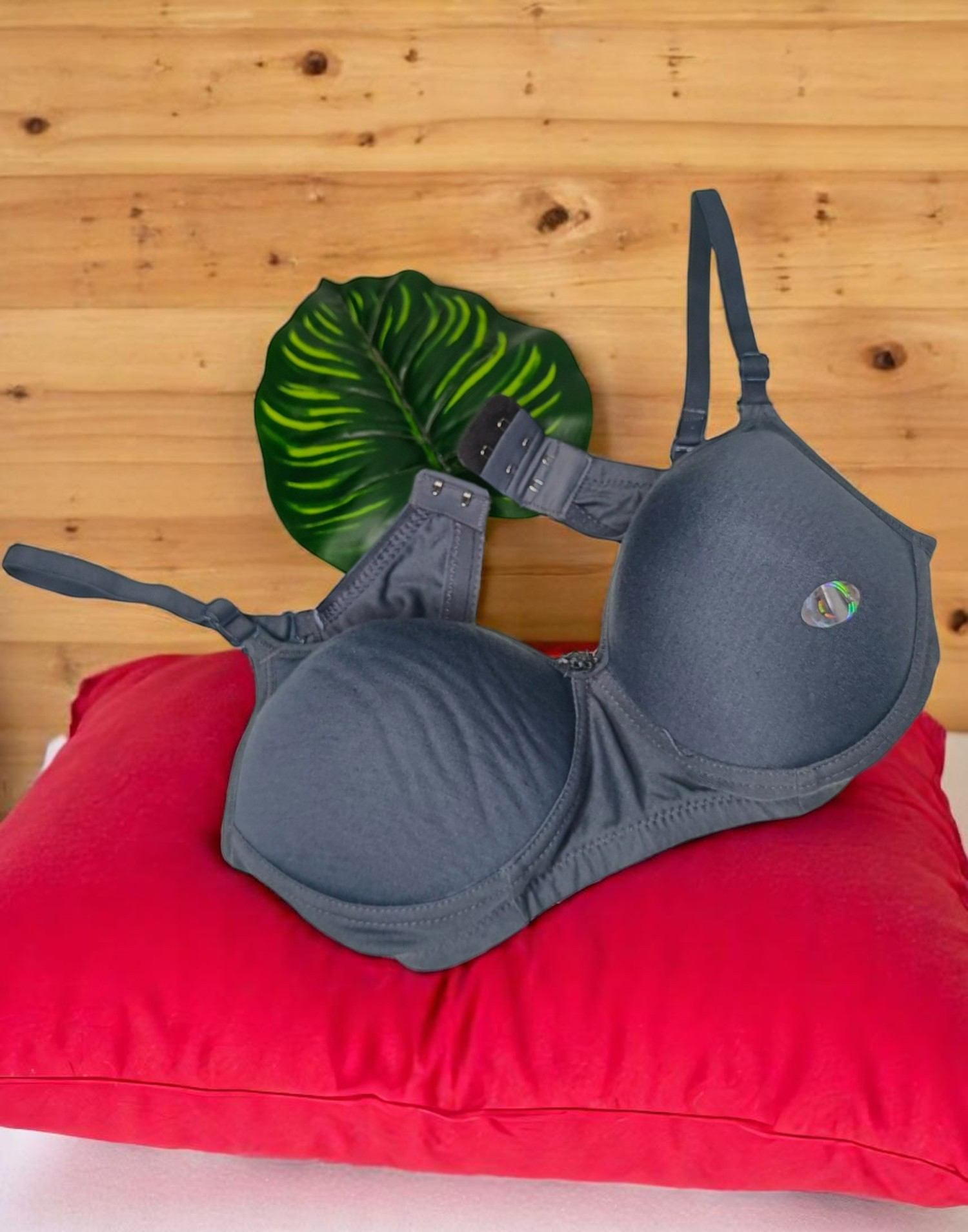 140525BR (E6071 E6072) V-MAX PADDED BRA Gray – ELENTRA DESIGNS