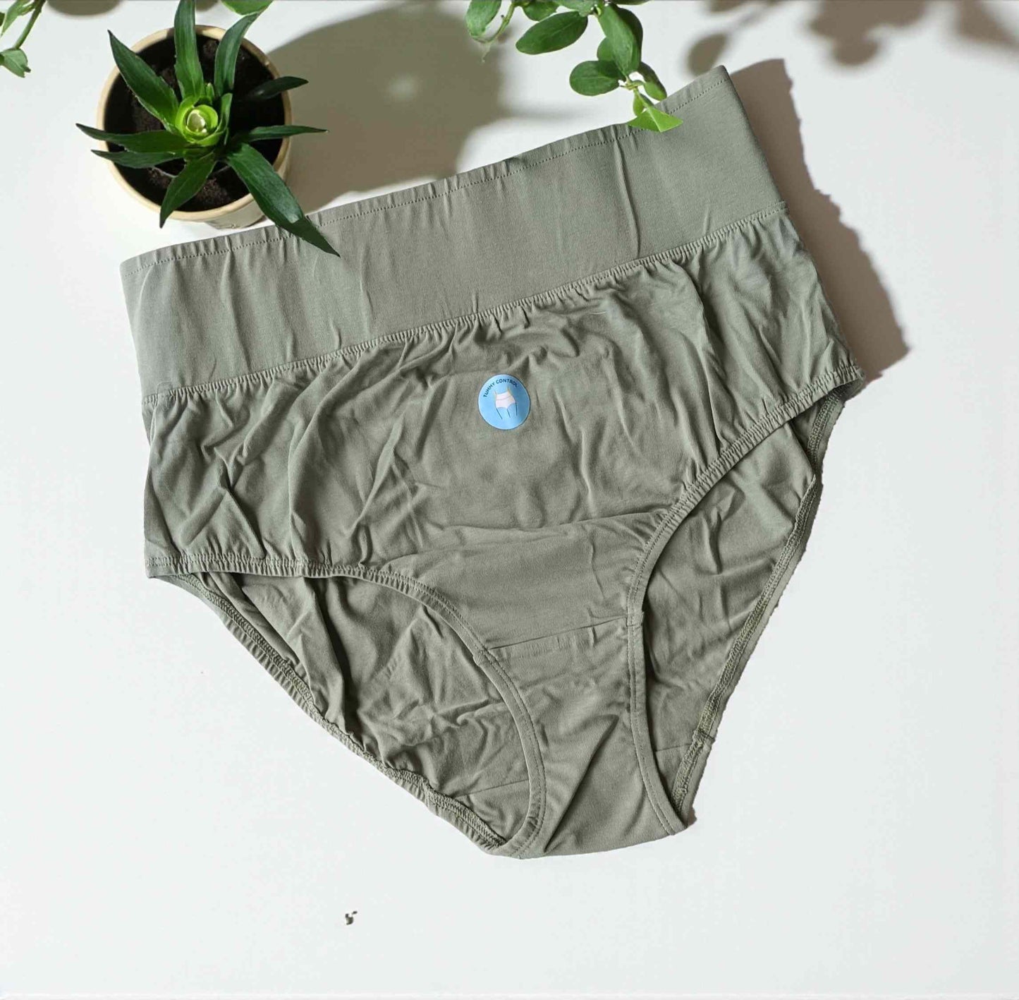 190925PS (E6433-E6435) BLOSSOM TUMMY TUCKER PANTIES - Pastel Green