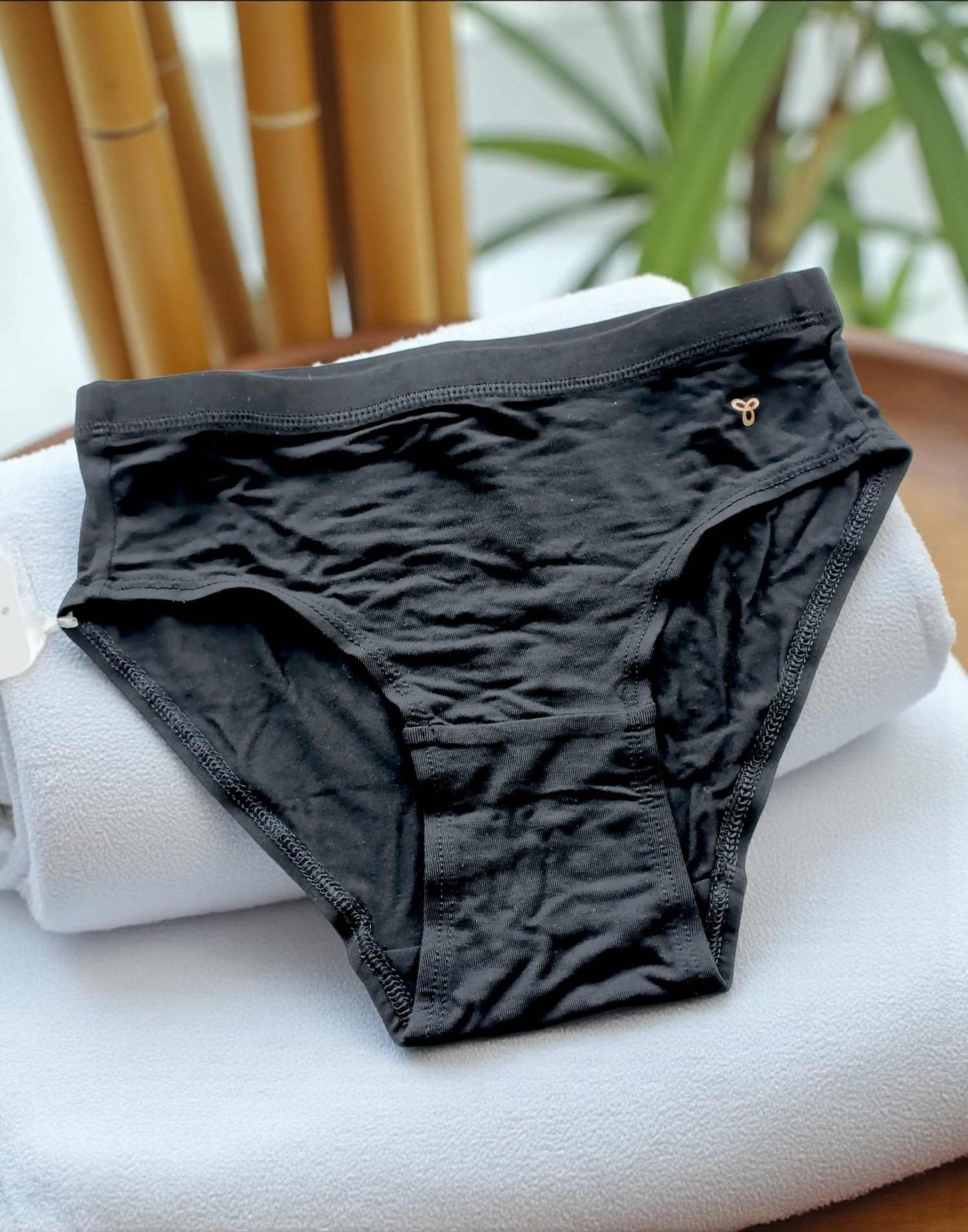 230925PS (E4348) VISMAY VOGE PANTIES - Black