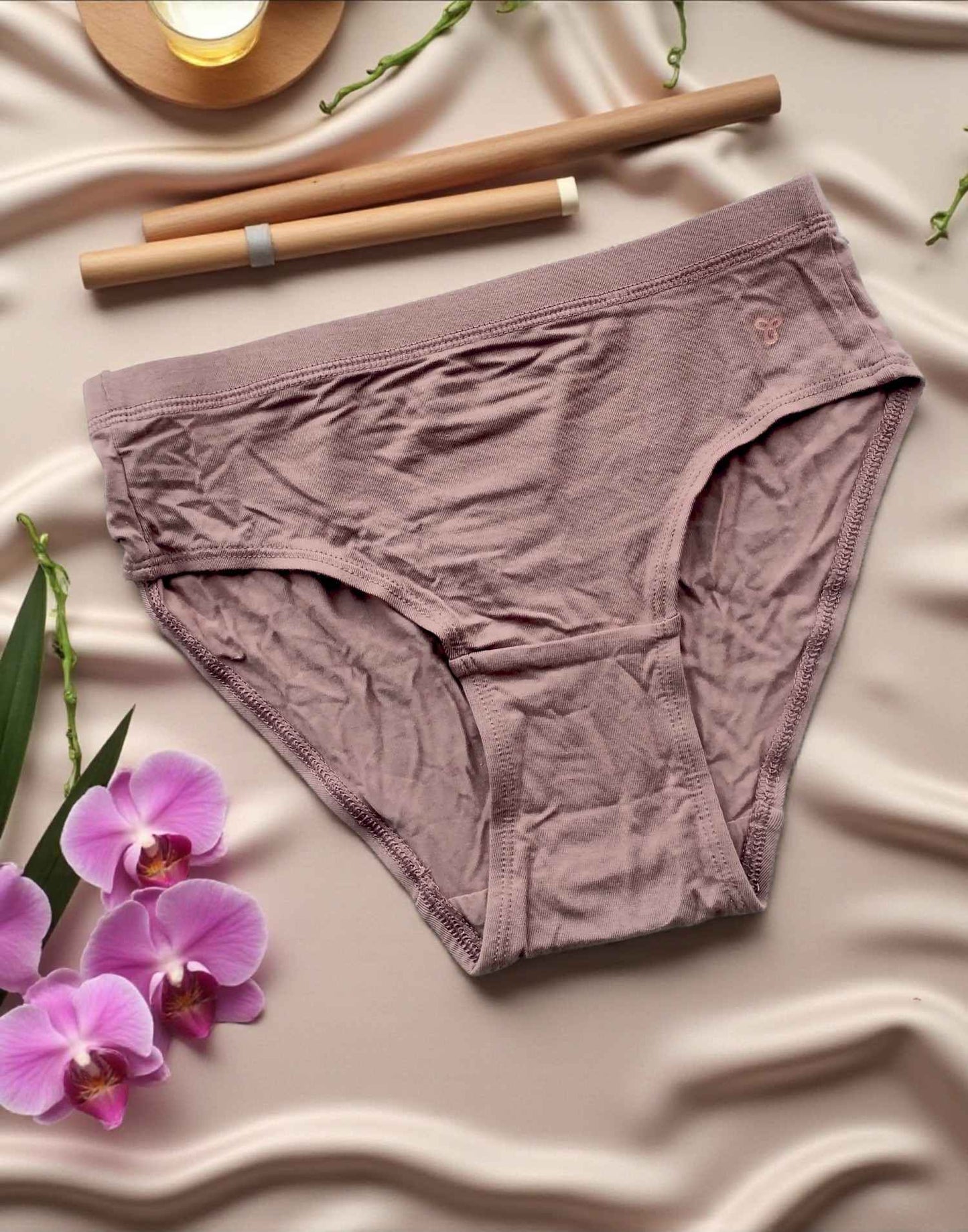 230925PS (E4348) VISMAY VOGE PANTIES - Light Brown