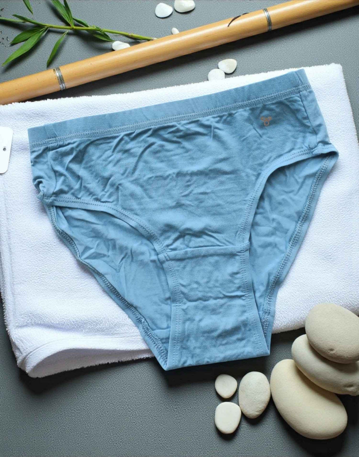 230925PS (E4348) VISMAY VOGE PANTIES - Aqua Blue