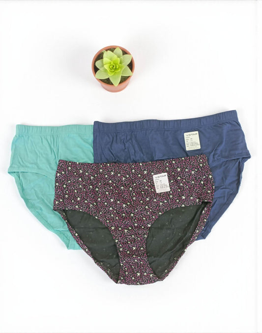 300925PS (E6422-E6423) VSTAR ESSENTIAL PANTIES (3 in 1 COMBO) - Assorted 10