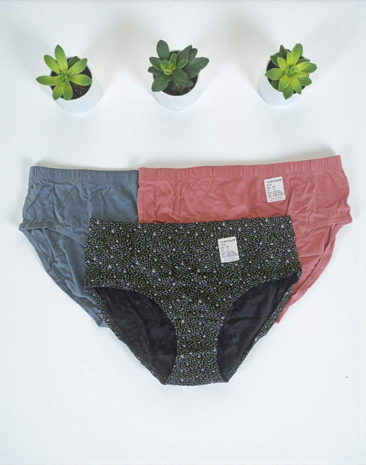 300925PS (E6422-E6423) VSTAR ESSENTIAL PANTIES (3 in 1 COMBO) - Assorted 12