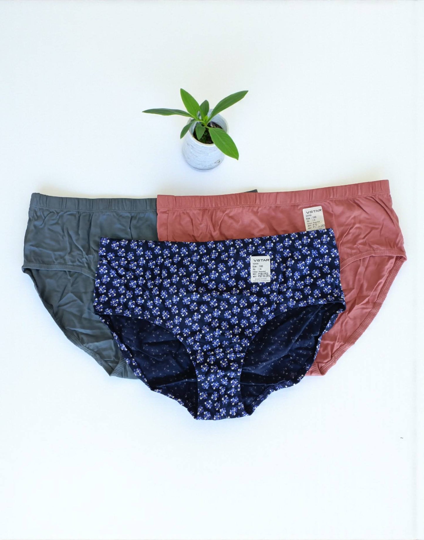 300925PS (E6422-E6423) VSTAR ESSENTIAL PANTIES (3 in 1 COMBO) - Assorted 17