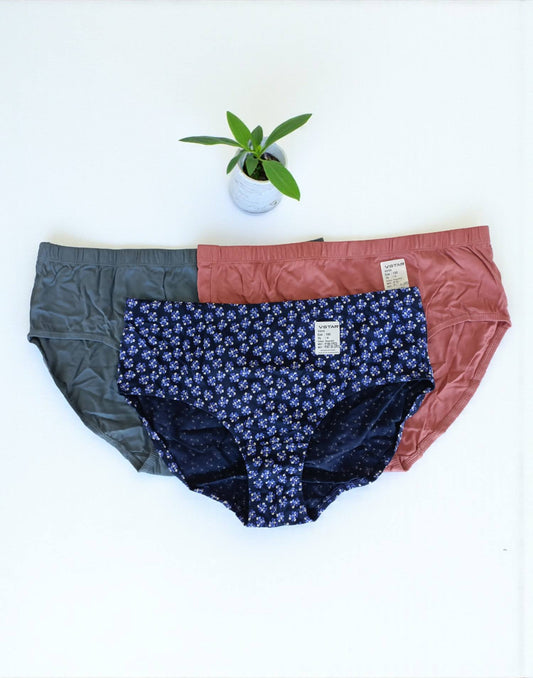 300925PS (E6422-E6423) VSTAR ESSENTIAL PANTIES (3 in 1 COMBO) - Assorted 17