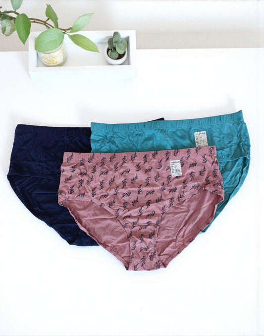 300925PS (E6422-E6423) VSTAR ESSENTIAL PANTIES (3 in 1 COMBO) - Assorted 21