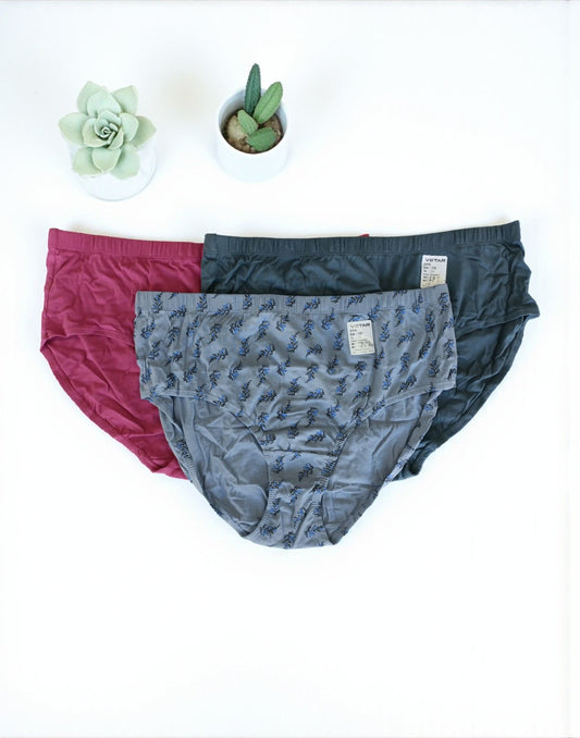 300925PS (E6422-E6423) VSTAR ESSENTIAL PANTIES (3 in 1 COMBO) - Assorted 22