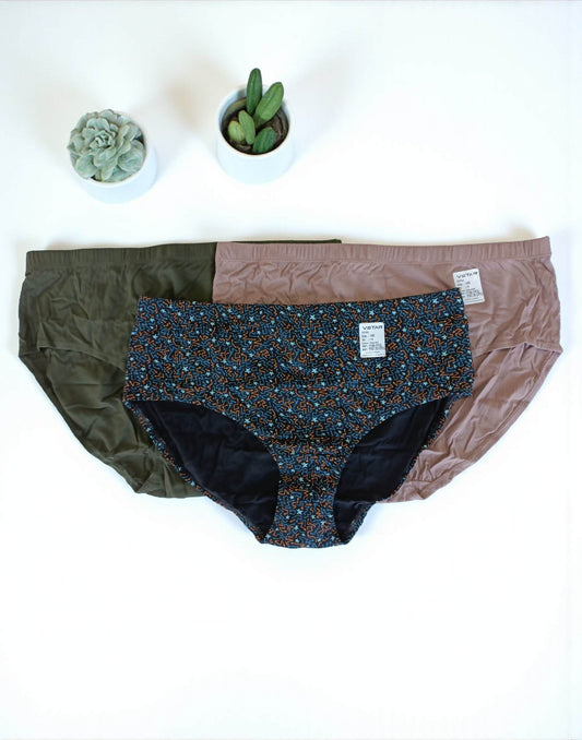 300925PS (E6422-E6423) VSTAR ESSENTIAL PANTIES (3 in 1 COMBO) - Assorted 23