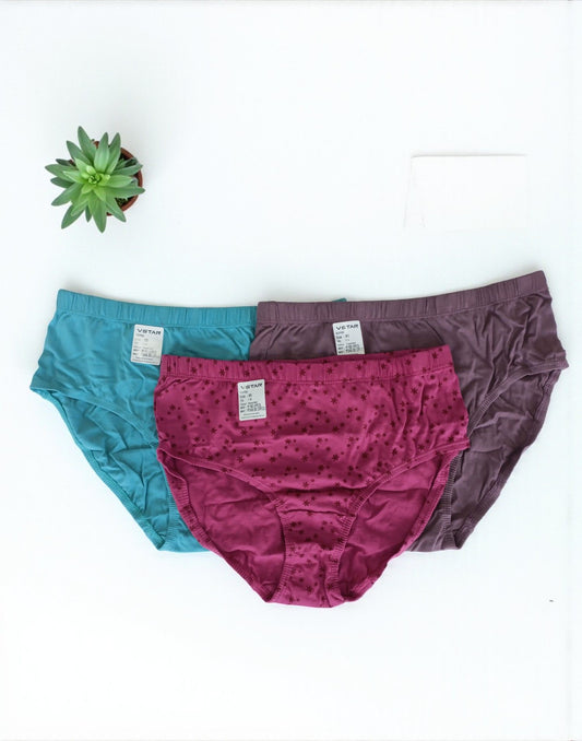 300925PS (E6422-E6423) VSTAR ESSENTIAL PANTIES (3 in 1 COMBO) - Assorted 2