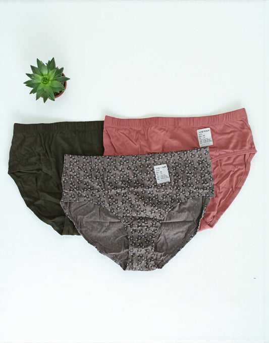 300925PS (E6422-E6423) VSTAR ESSENTIAL PANTIES (3 in 1 COMBO) - Assorted 6