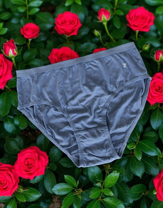 050825PS (E4345) VISMAY NIVYA PANTIES - Bluish Gray