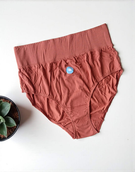 190925PS (E6433-E6435) BLOSSOM TUMMY TUCKER PANTIES - Dusty Peach