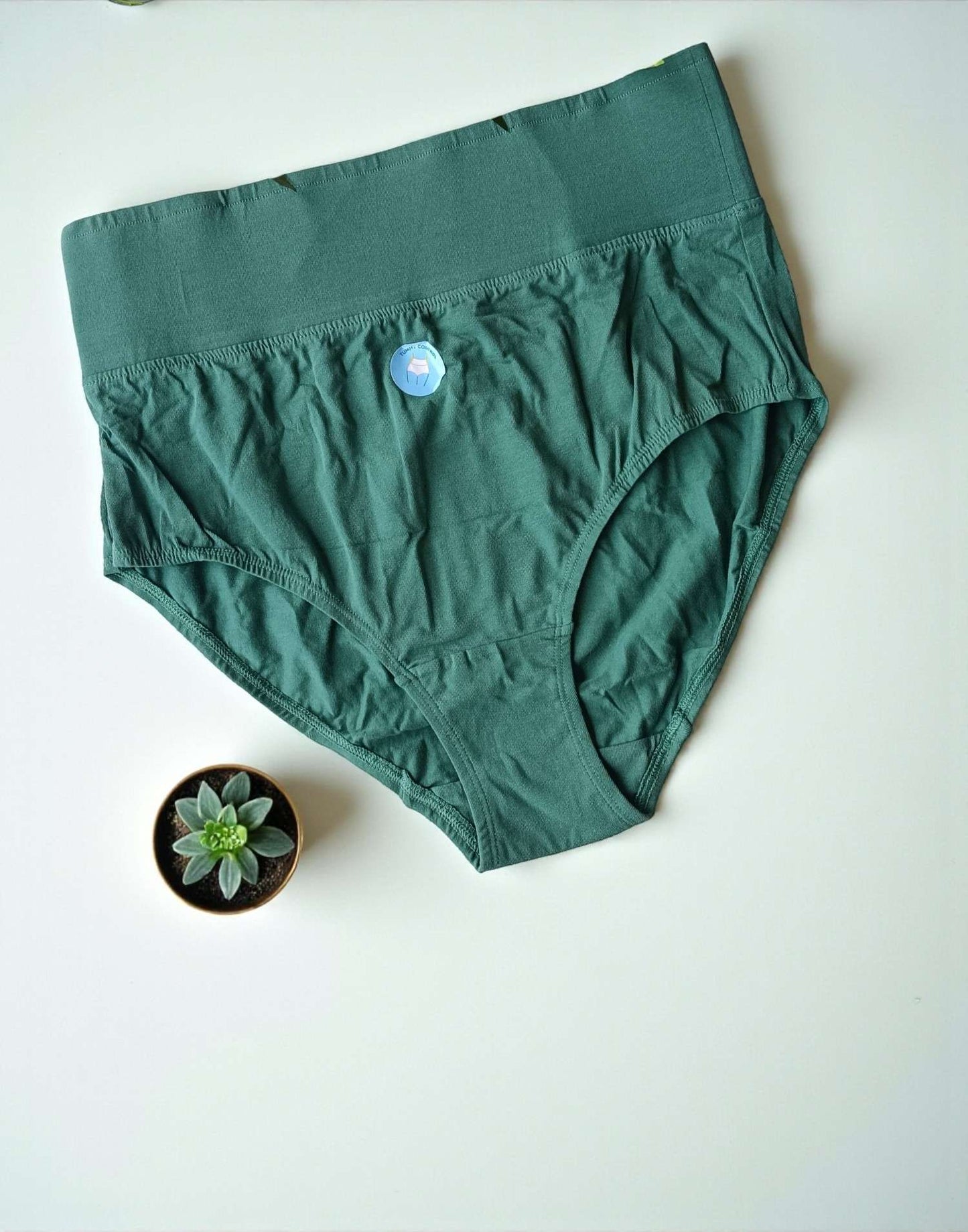190925PS (E6433-E6435) BLOSSOM TUMMY TUCKER PANTIES - Green
