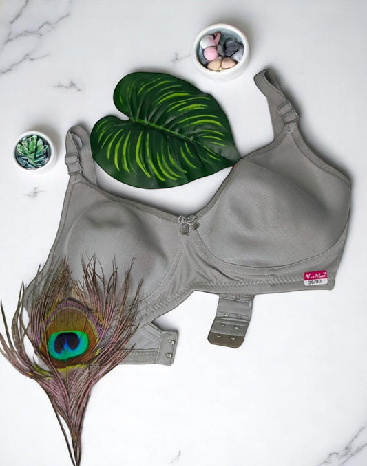 121025BR (E6077 - E6078) V-MAX SEMI PADDED BRA - Silver Gray