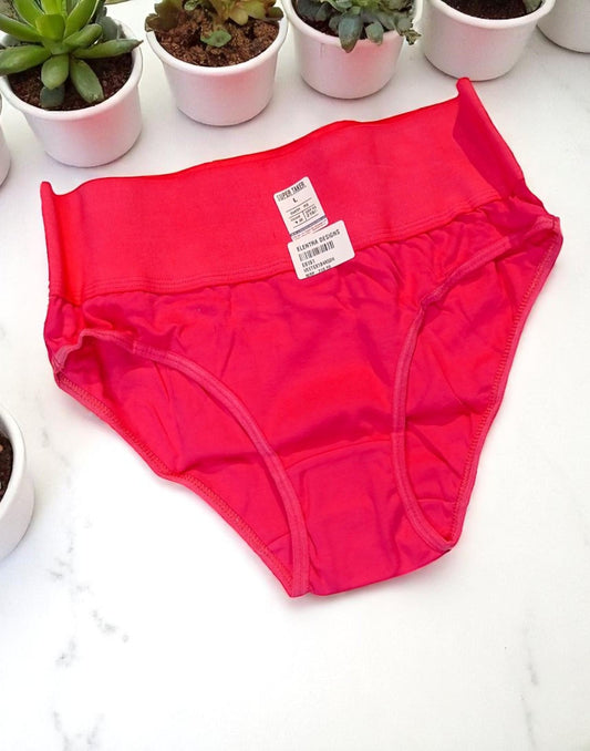 140625PS (E6151/52/53/54) POOJA RAGINI TUMMY TUCKER PANTIES - Peaches Pink