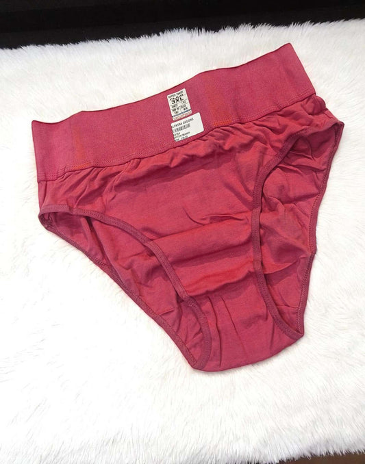 140625PS (E6151/52/53/54) POOJA RAGINI TUMMY TUCKER PANTIES - Mauve Onion Pink