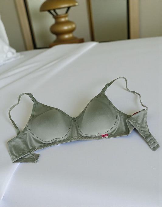 221025BR (E6077 - E6078) V-MAX SEMI PADDED BRA - Pastel Green