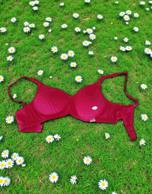 121025BR (E6071 - E6072) V-MAX PADDED BRA - Rani Pink