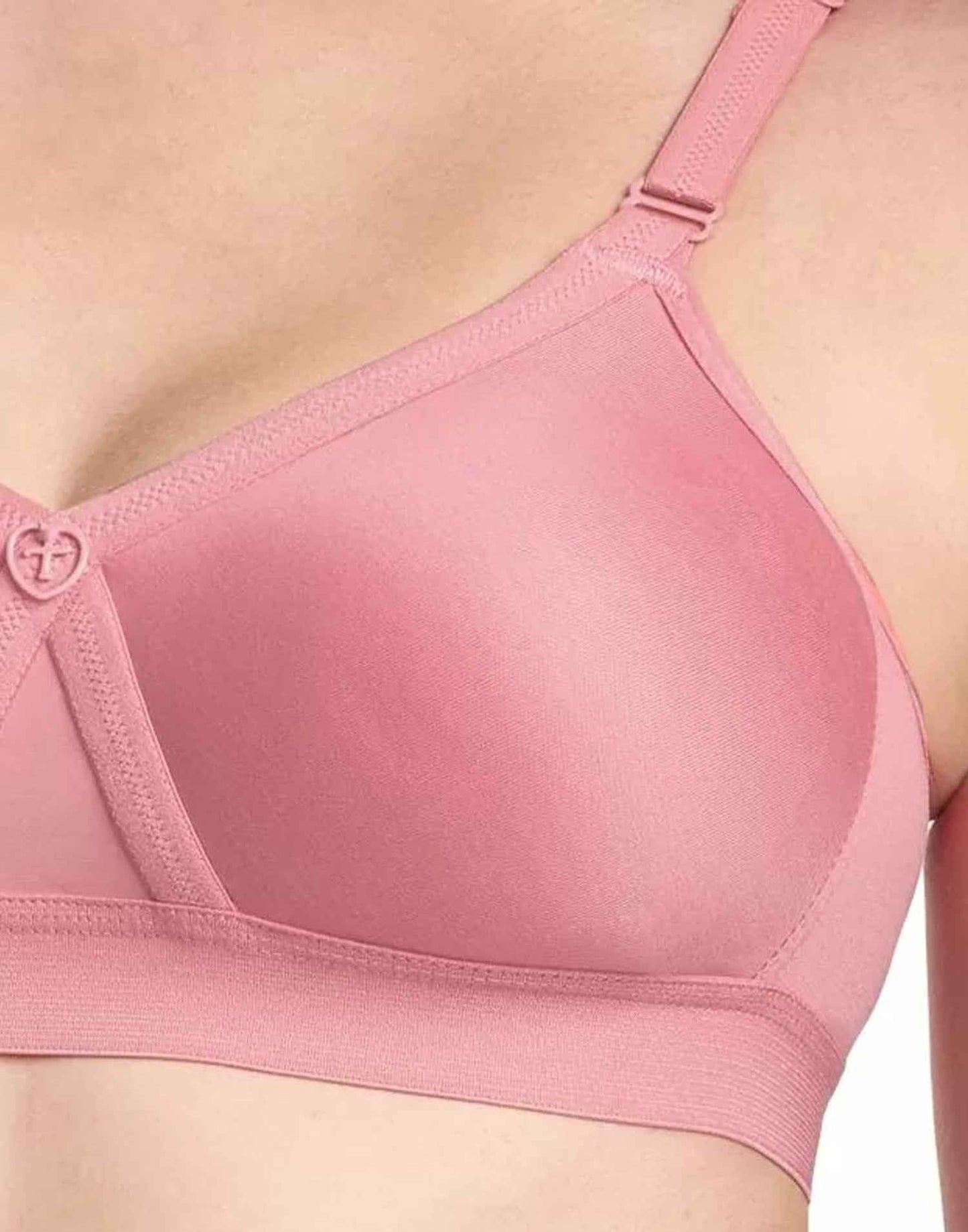 NON PADDED T-SHIRT BRA RIZA ALPA ROSEGOLD E6831 160326BR