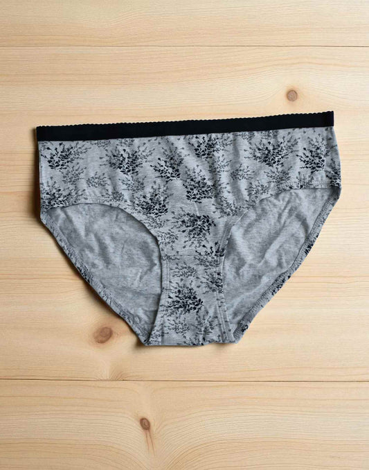 310725PS (E4347) VISMAY HAVEN HIPSTER PANTIES - Silver Gray