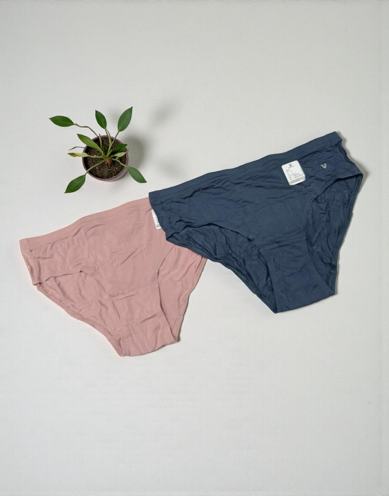 PANTY VSTAR HIPSTER (2 in 1 COMBO) ASSORTED 11 E6419 E6420 130126PS - ELENTRA DESIGNS BY NIMI HEINS