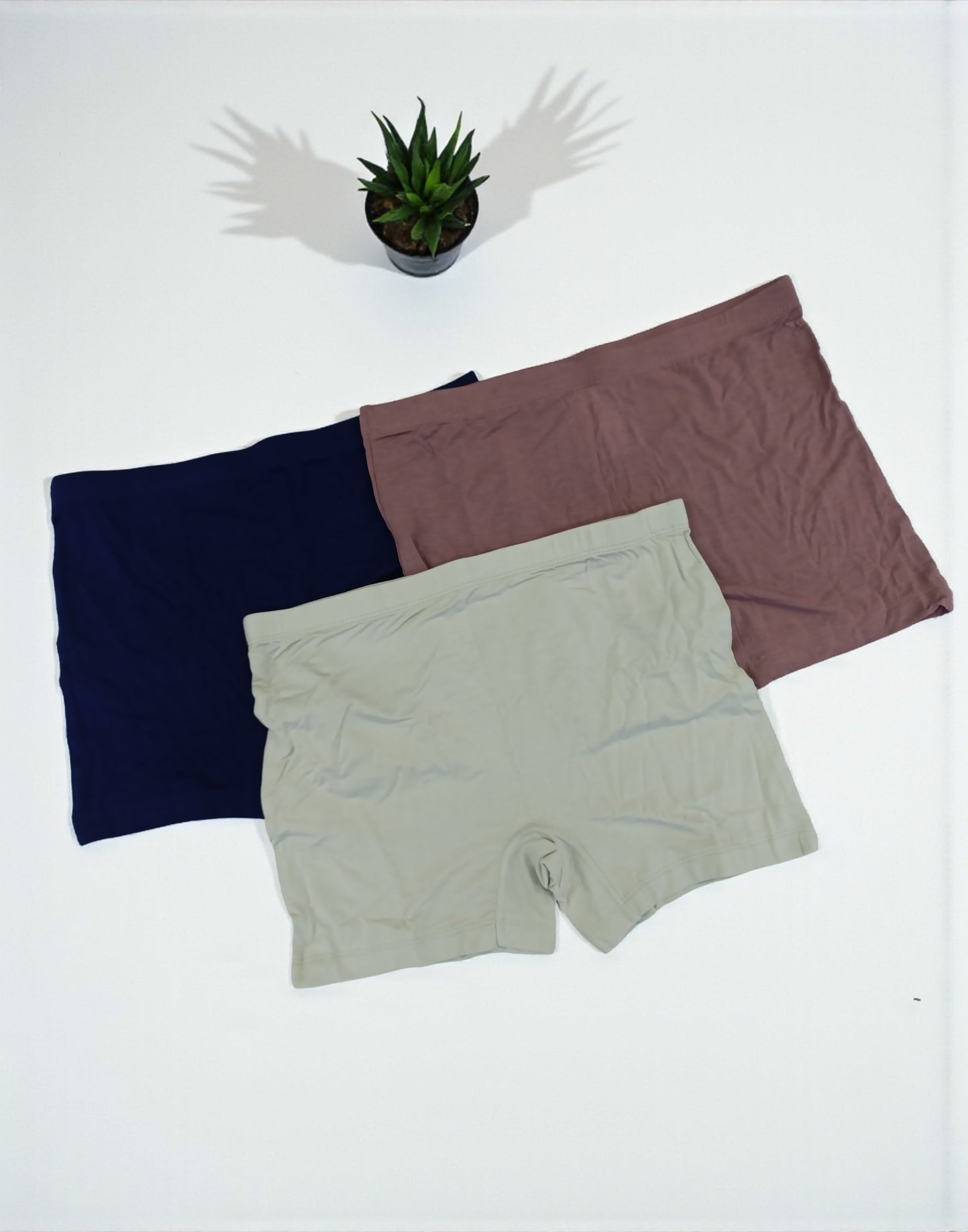 240925PS (E5289) BRIDA SHORTS (3 in 1 COMBO) - Assorted 3