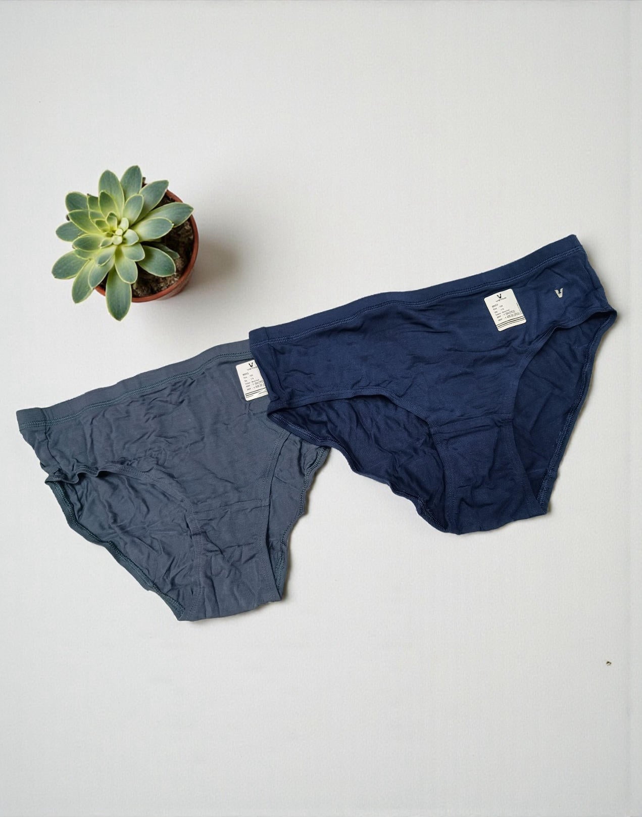 PANTY VSTAR HIPSTER (2 in 1 COMBO) ASSORTED 13 E6419 E6420 130126PS - ELENTRA DESIGNS BY NIMI HEINS