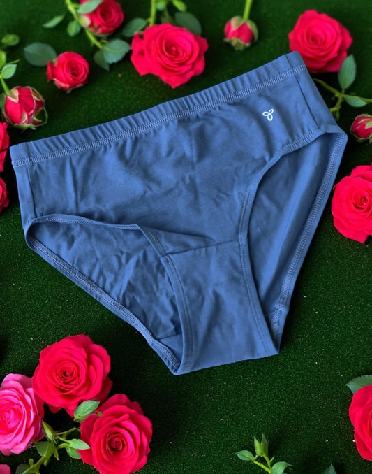 090825PS (E4346) VISMAY COZY PANTIES - Blue