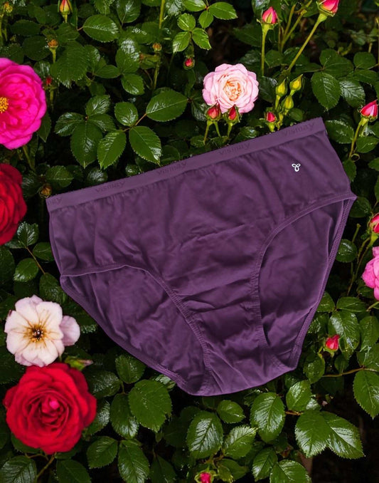 050825PS (E4345) VISMAY NIVYA PANTIES - Dark Purple