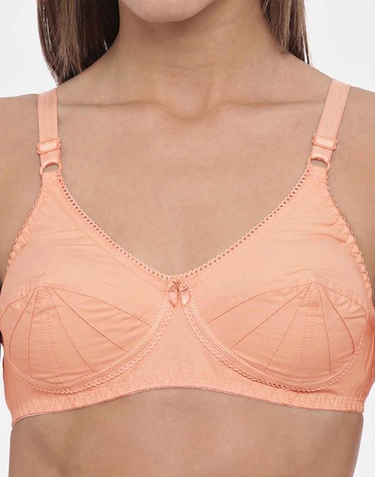 NON PADDED SAREE BRA BLOSSOM PEACH E3009-E3012 251025BR