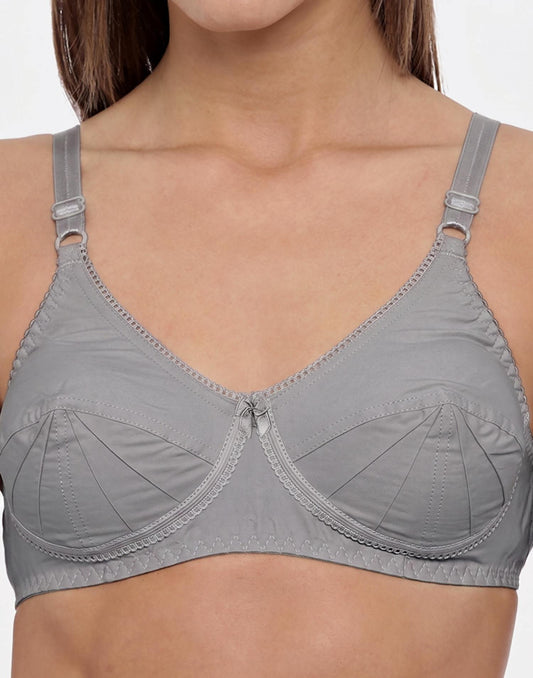 NON PADDED SAREE BRA BLOSSOM DARK GRAY E3009-E3012 251025BR - ELENTRA DESIGNS BY NIMI HEINS