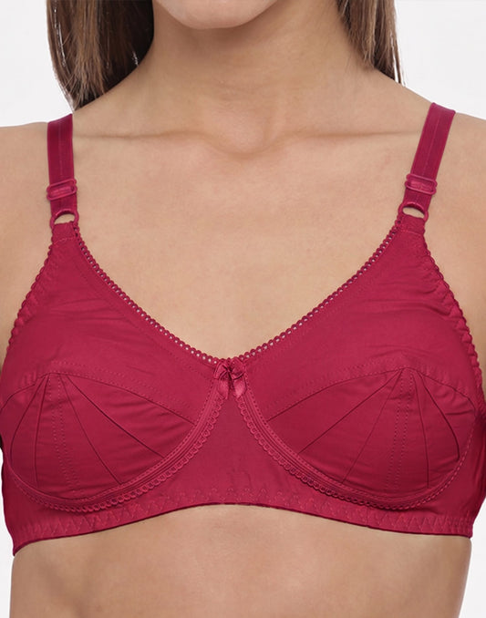 NON PADDED SAREE BRA BLOSSOM MAROON E3009-E3012 251025BR - ELENTRA DESIGNS BY NIMI HEINS