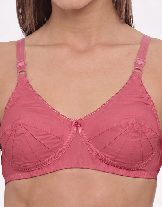 NON PADDED SAREE BRA BLOSSOM ROSE GOLD E3009-E3012 251025BR - ELENTRA DESIGNS BY NIMI HEINS