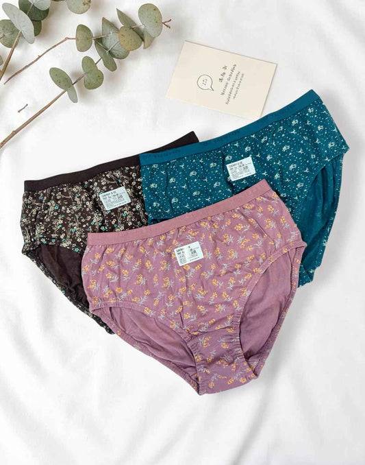 PANTY CHERRY TEENS LIFESTYLE ASSORTED 7 (PACK OF 3) E7022 040626PY
