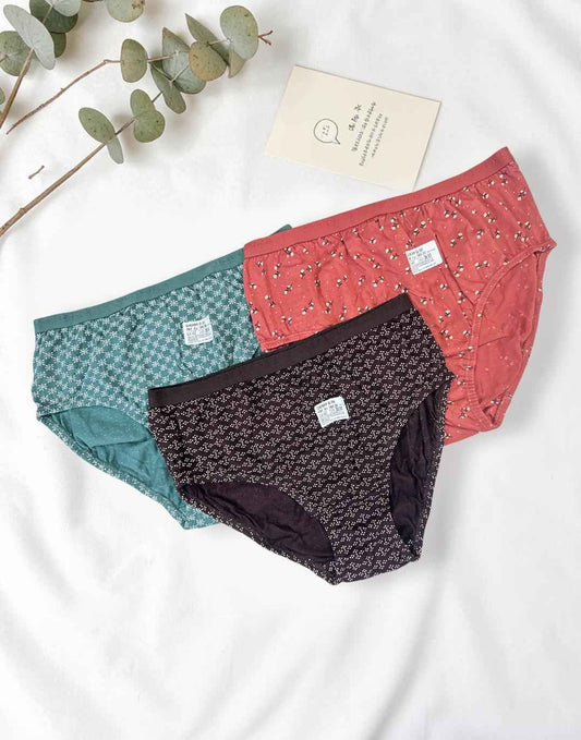 PANTY CHERRY TEENS LIFESTYLE ASSORTED 5 (PACK OF 3) E7022 040626PY