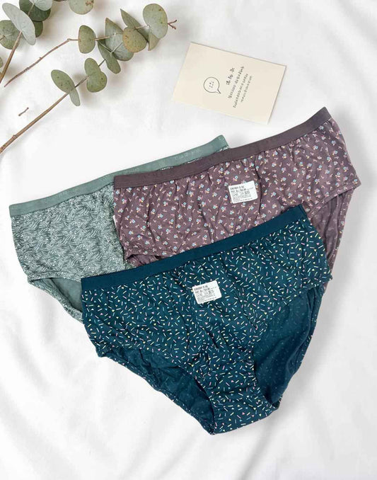 PANTY CHERRY TEENS LIFESTYLE ASSORTED 19 (PACK OF 3) E7022 040626PY