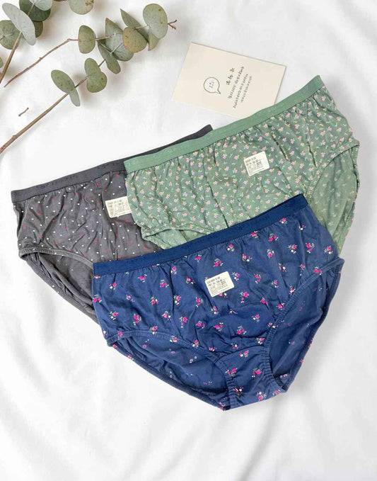 PANTY CHERRY TEENS LIFESTYLE ASSORTED 17 (PACK OF 3) E7022 040626PY
