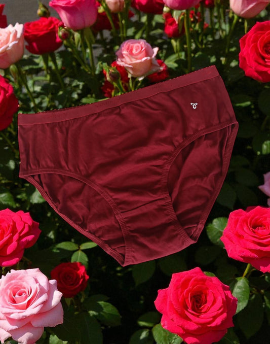 050825PS (E4345) VISMAY NIVYA PANTIES - Maroon