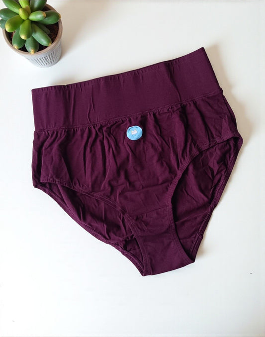 190925PS (E6433-E6435) BLOSSOM TUMMY TUCKER PANTIES - Purple