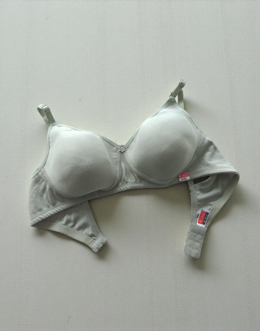 201225BR (E6077 - E6078) V-MAX SEMI PADDED BRA - Pastel Green