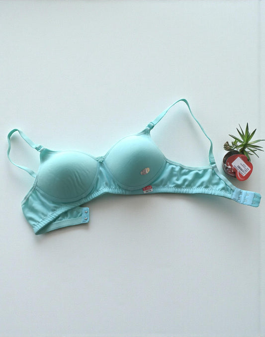 201225BR (E6071 - E6072) V-MAX PADDED BRA - Mint Green