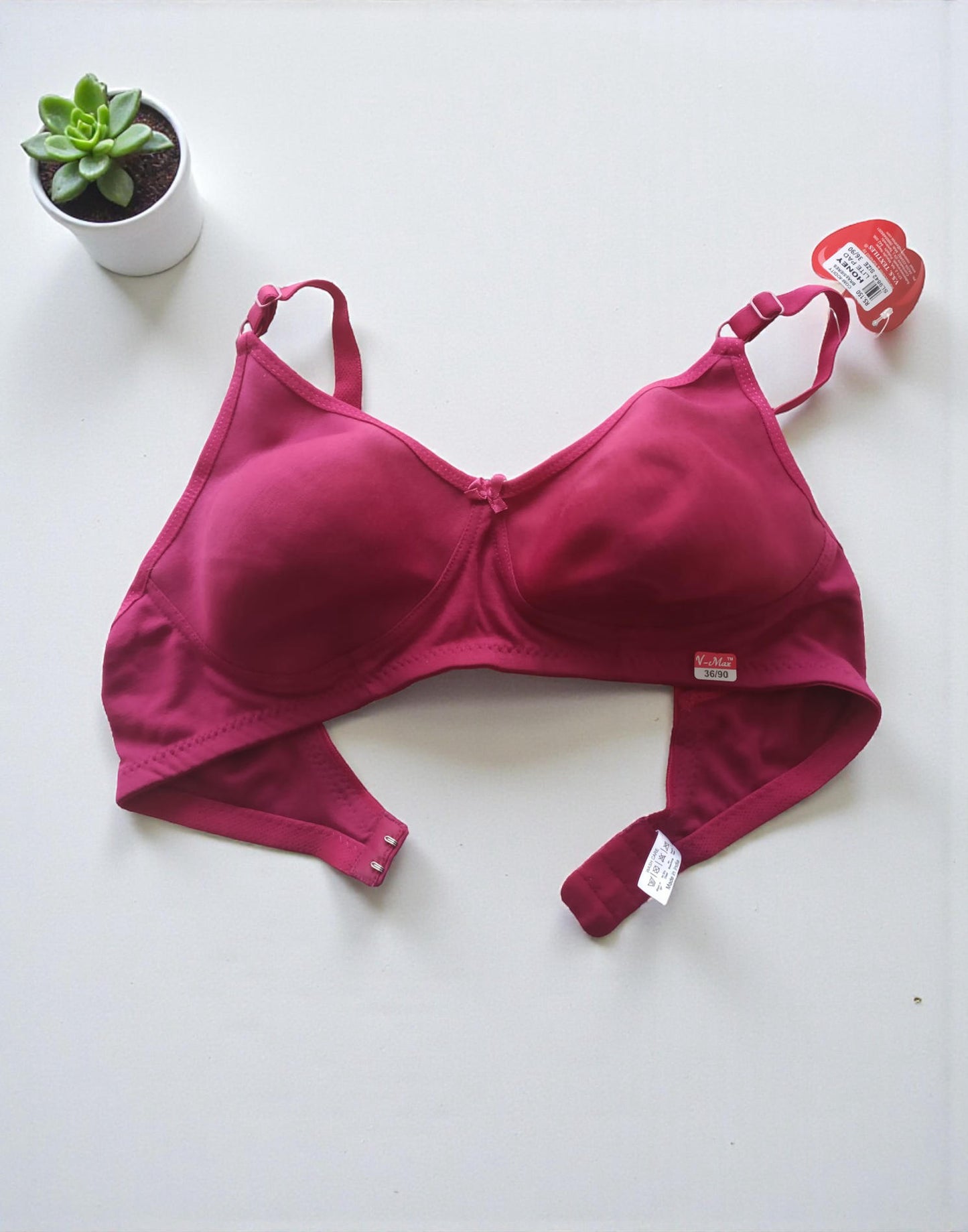 201225BR (E6077 - E6078) V-MAX SEMI PADDED BRA - Light Wine