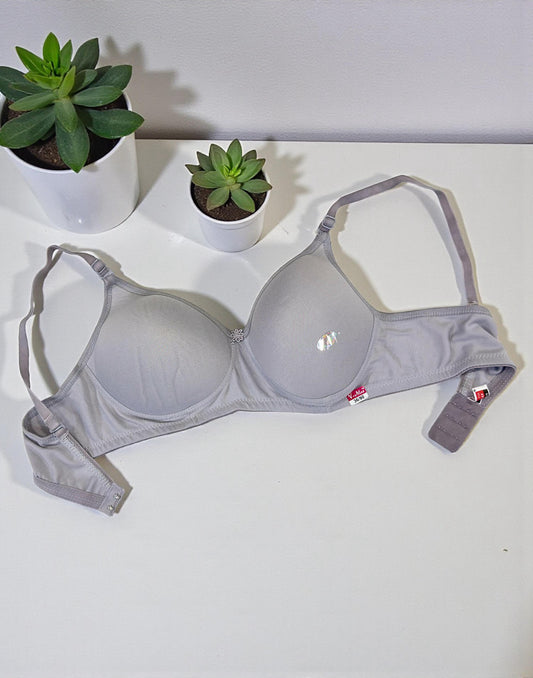 201225BR (E6071 - E6072) V-MAX PADDED BRA - Silver Gray
